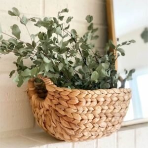 Dried Eucalyptus Stems