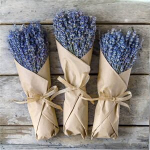 Dried Lavender Bunches