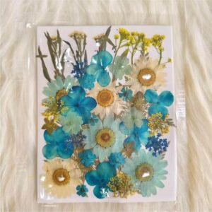 Pressed Flower Art Sheets